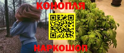каннабис Кунгур