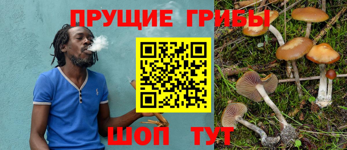 Галлюциногенные грибы Cubensis  Псилоцибиновые грибы Psilocybe  Клин  Вход с VPN 