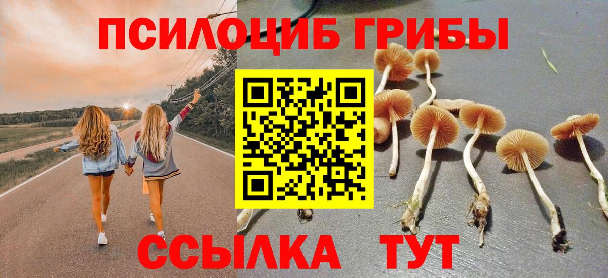 Псилоцибиновые грибы Magic Shrooms Клин